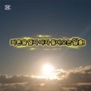 미라네집 이미지