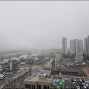 비오는 날 아침 대전 갑천 풍경 이미지