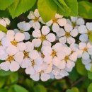 죽백근린공원 이미지