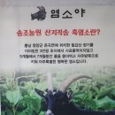 충남농원염소 이미지