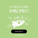 리얼미디어