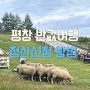 신용카센타 - 남구 동명로145번길 69 | 평창 반값여행 환급방법 총정리 실제 정산 후기