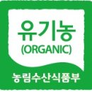 녹즙사천 | [오가피효능]경남사천 청정 오가피농장 방문, 우천오가피 추천!