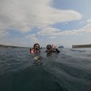 박종태 | 어떤 꿈을 꿨던 걸까 난