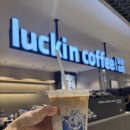 민트커피(MINT COFFEE) | 중국 커피 맛집 루이싱 커피(Luckin Coffee, 瑞幸咖啡) 민트 코코넛 라떼🥥☕️❤️
