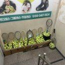 에이스실내테니스장