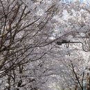 노작공원(오산천변) 네이버블로그