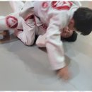 드림특공무술