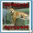 퍼니투퍼니