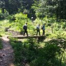 우면산6-12 이미지