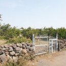 위미2리 이미지