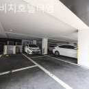광안비치호텔더엠 네이버블로그