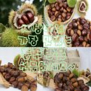 농장고구려 이미지