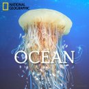사진공간 寫室 사진전시회 | 내셔널지오그래픽 전시회 후기 OCEAN ㅣ 아이와 함께 가기 좋은 바다 사진전 (충무아트센터 주차)