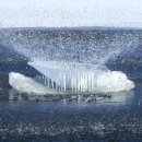 중앙접시 이미지