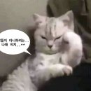 프라이언스 네이버블로그