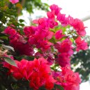 상동호수공원 이미지