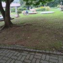 인천영종초등학교금산분교 이미지
