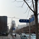 산청훠궈양꼬치 | 대련 자유여행 2박3일 : 코스 추천 동방수성 야경부터 산청훠궈까지 내돈내산 후기