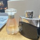 모던데이 | [올리브영 여자향수 추천]발렌타인 데이 여자 향수 추천 | 랑방 모던 프린세스 후기