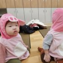 생성공간 | 세종시 돌~두돌 실내놀이 공간 정리 | 2년 키워본 솔직후기