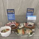 [강원 고성] 1박 7만 5천원에 오션뷰 테라스?! 갓성비 끝판왕 < 오션투유리조트 > 내돈내산 숙박 후기 🌊
