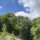 온리앳오운리 이미지