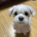 낫스트레스
