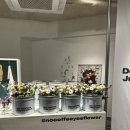 노커피예스플라워 이미지
