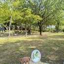 효은약국 이미지