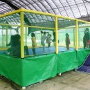 도레미캠핑장 이미지