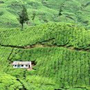 자연속의 집 이미지