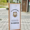 진주 혁신도시 카페, 이사랑 베이글 (소금빵 샌드위치, 미니 베이글)