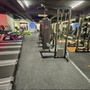 더 루트짐 이미지