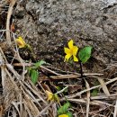 남원포 봉수대 이미지