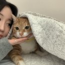 GBH 지비에이치 센티드 데오스틱 네롤리 머스크 3주 실사용 후기 (내돈내산)