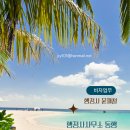 큰길 행정사사무소 네이버블로그