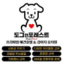 도그레스트 이미지