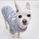 아이조아요양보호소 전남광주점 이미지