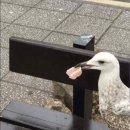 스타골프클럽 이미지