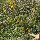 레전드 게임랜드 이미지