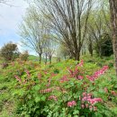 성주관광주유소 이미지