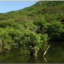 일원1-105 이미지