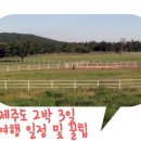 굿모닝LPG충전소 | [제주도 여행] 2박 3일 커플 여행 추천 일정과 꿀팁