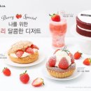 브레댄코 이미지