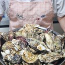 방앗간굴수산 | 석화 한망 가격 석화찜 찌는법 보령맛집 방앗간굴수산