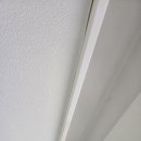 테일웨거 이미지