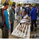 대금 및 소금 이미지