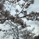 노원교길 이미지