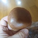 주식회사케이엔비즈 이미지
